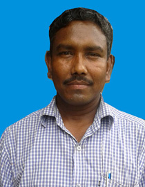 সহ- সভাপতি